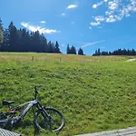 Butterblume * Feldberg (Baden-Wurttemberg)
