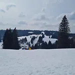 Butterblume * Feldberg (Baden-Wurttemberg)