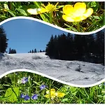 Butterblume * Feldberg (Baden-Wurttemberg)