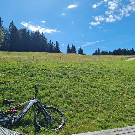Butterblume, Feldberg - Haus Wiesenquelle * Feldberg (Baden-Wurttemberg)