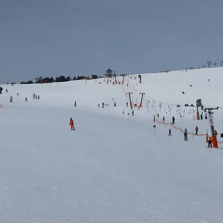 Holiday home Butterblume, Feldberg - Haus Wiesenquelle
