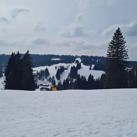 Butterblume, Feldberg - Haus Wiesenquelle * Feldberg (Baden-Wurttemberg)