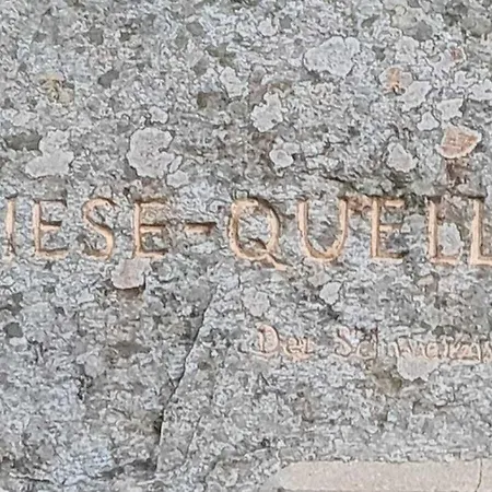 Butterblume, - Haus Wiesenquelle