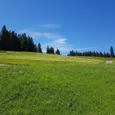 Butterblume, Feldberg - Haus Wiesenquelle