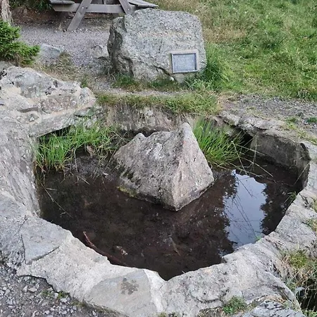 Butterblume, Feldberg - Haus Wiesenquelle Feldberg (Baden-Wurttemberg)