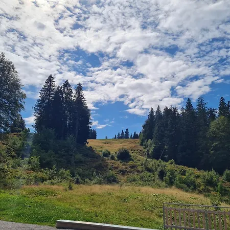 Butterblume, Feldberg - Haus Wiesenquelle Holiday home