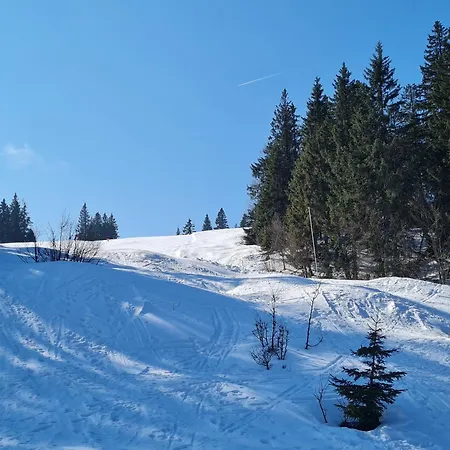 Holiday home Butterblume, Feldberg - Haus Wiesenquelle