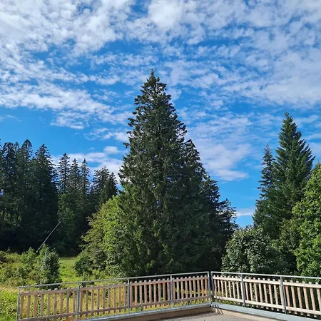 Butterblume, Feldberg - Haus Wiesenquelle