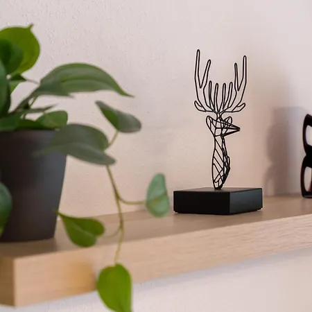 Butterblume, - Haus Wiesenquelle Holiday home Feldberg (Baden-Wurttemberg)